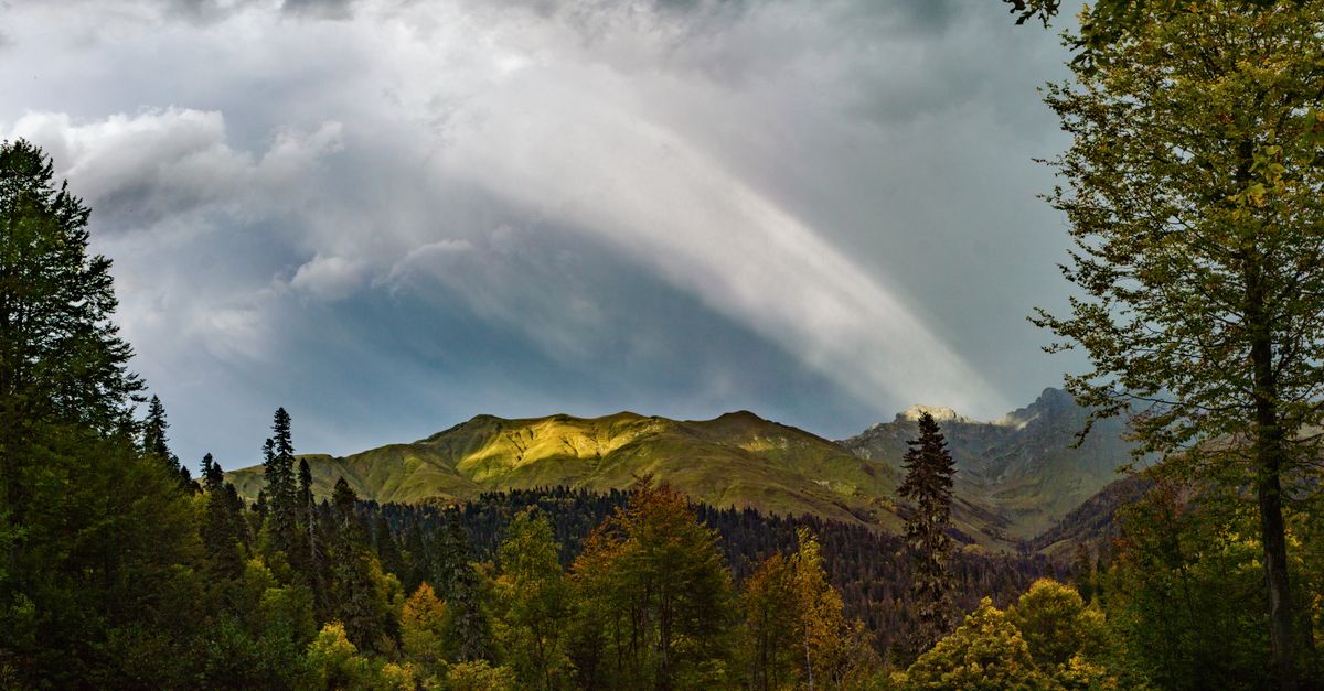 Panoramic view of mountains with stormy skies and lush forest foreground.